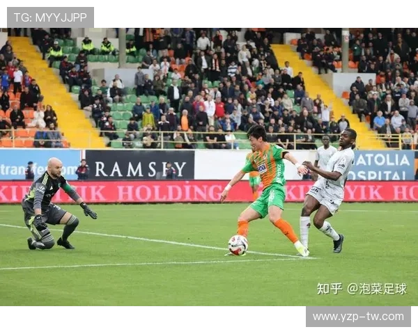 2048锦标赛世界杯体育论坛